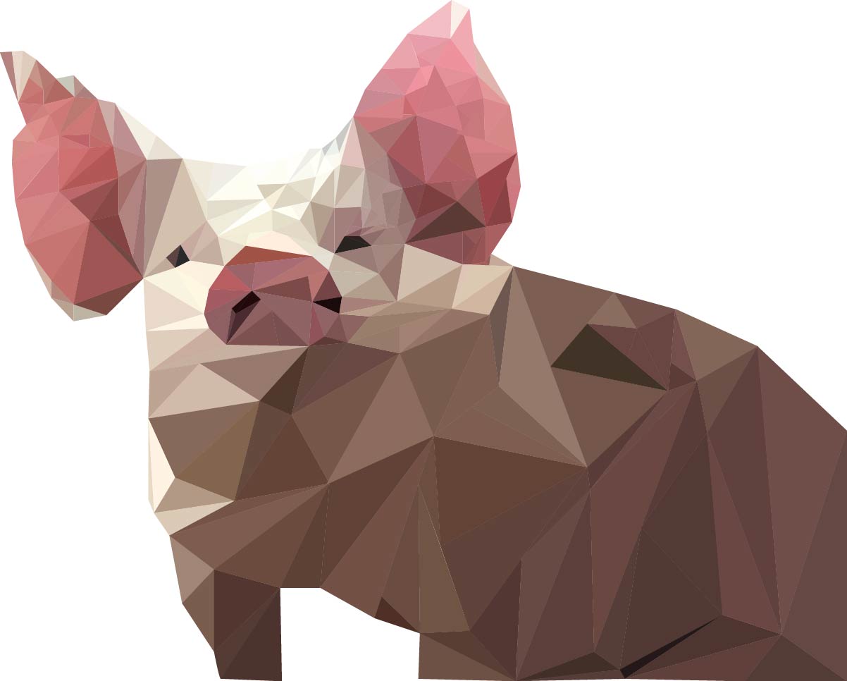 Pig Illustration